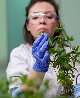 Phytopathologiste